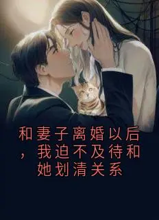 《和妻子离婚以后，我迫不及待和她划清关系 》方夏韩霜完结版精彩试读